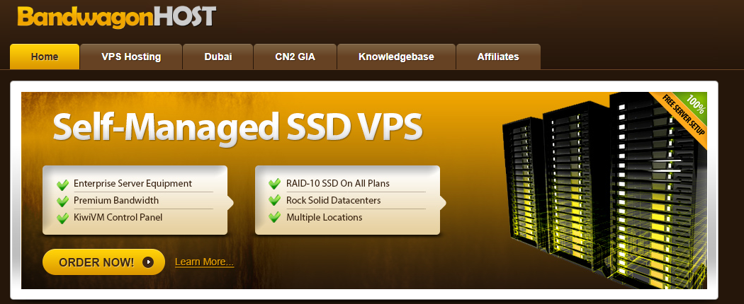 搬瓦工 CN2 GIA VPS：中国用户首选的高性价比方案